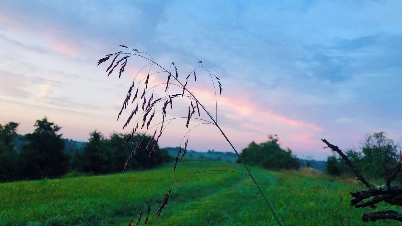 Photo of Outdoor in Dry Ridge