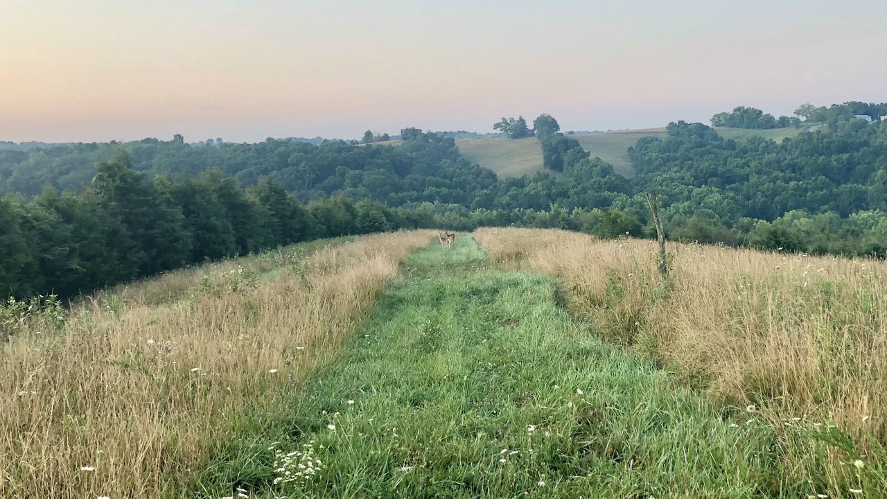 Photo of Outdoor in Dry Ridge