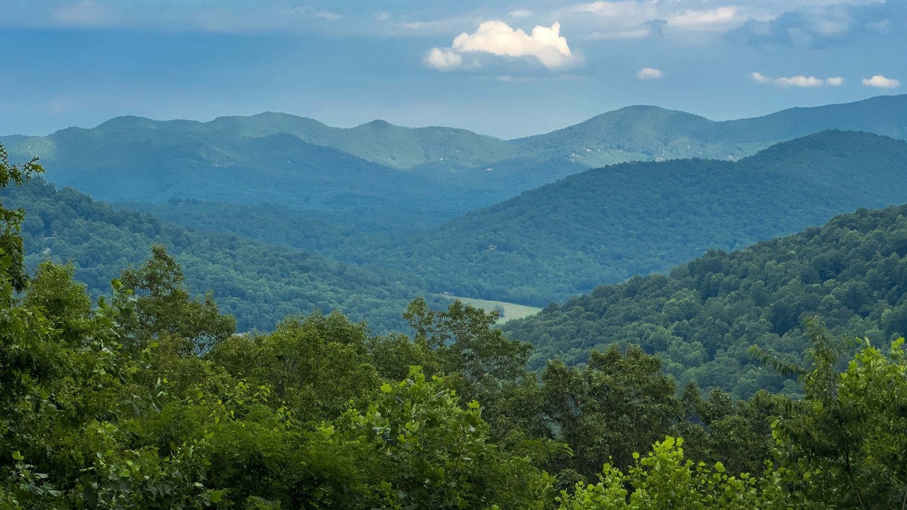 Photo of Others in Laurel Ridge
