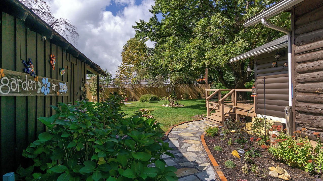 Photo of Outdoor in Black Mountain