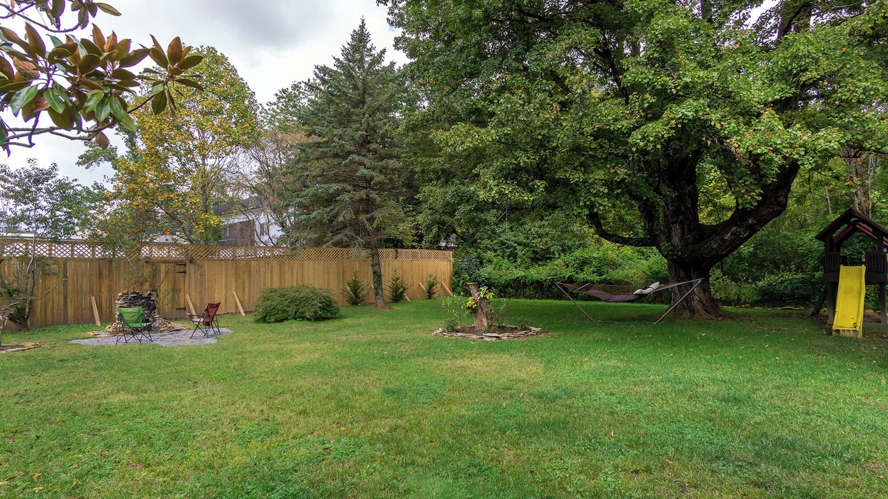 Photo of Outdoor in Black Mountain