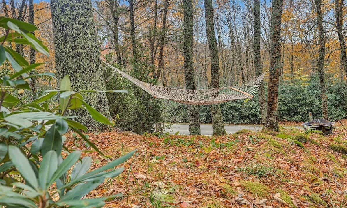 Photo of Others in Sugar Mountain