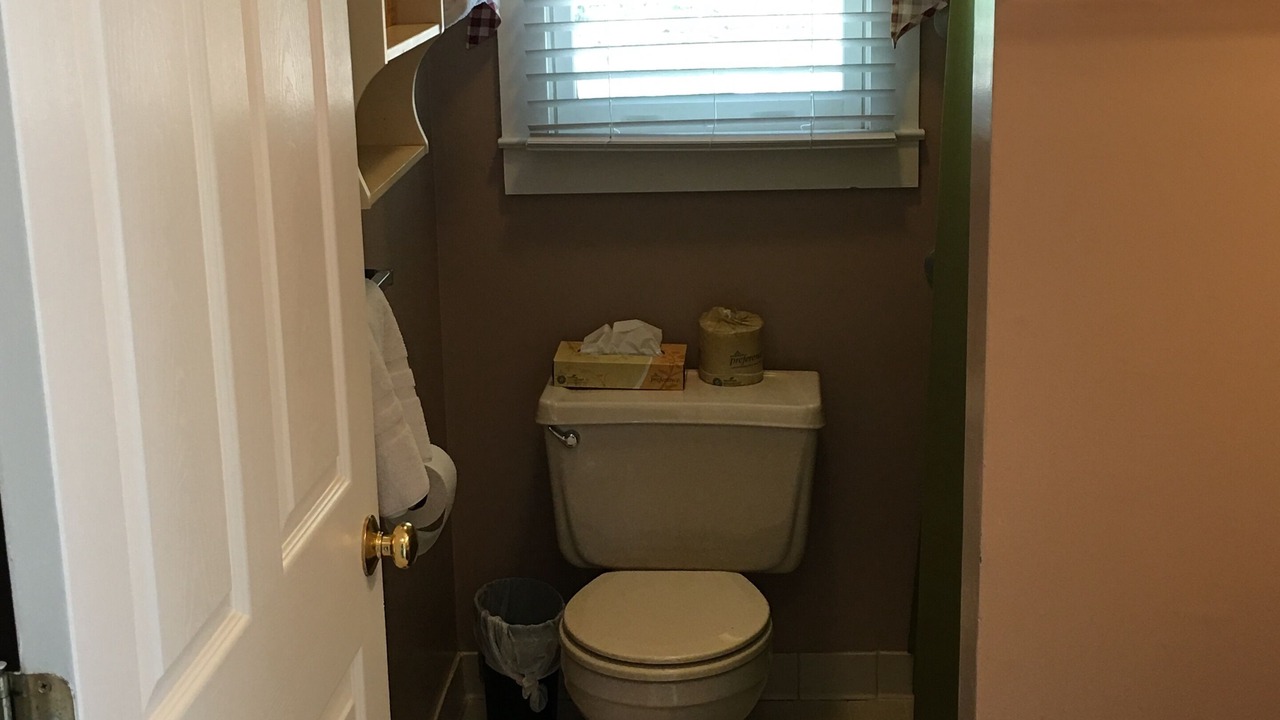 Photo of Bathroom in Flat Rock