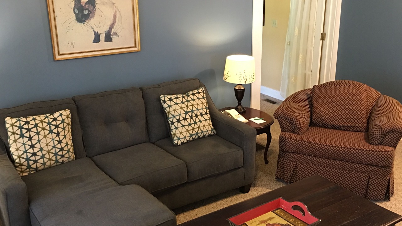 Photo of Livingroom in Flat Rock