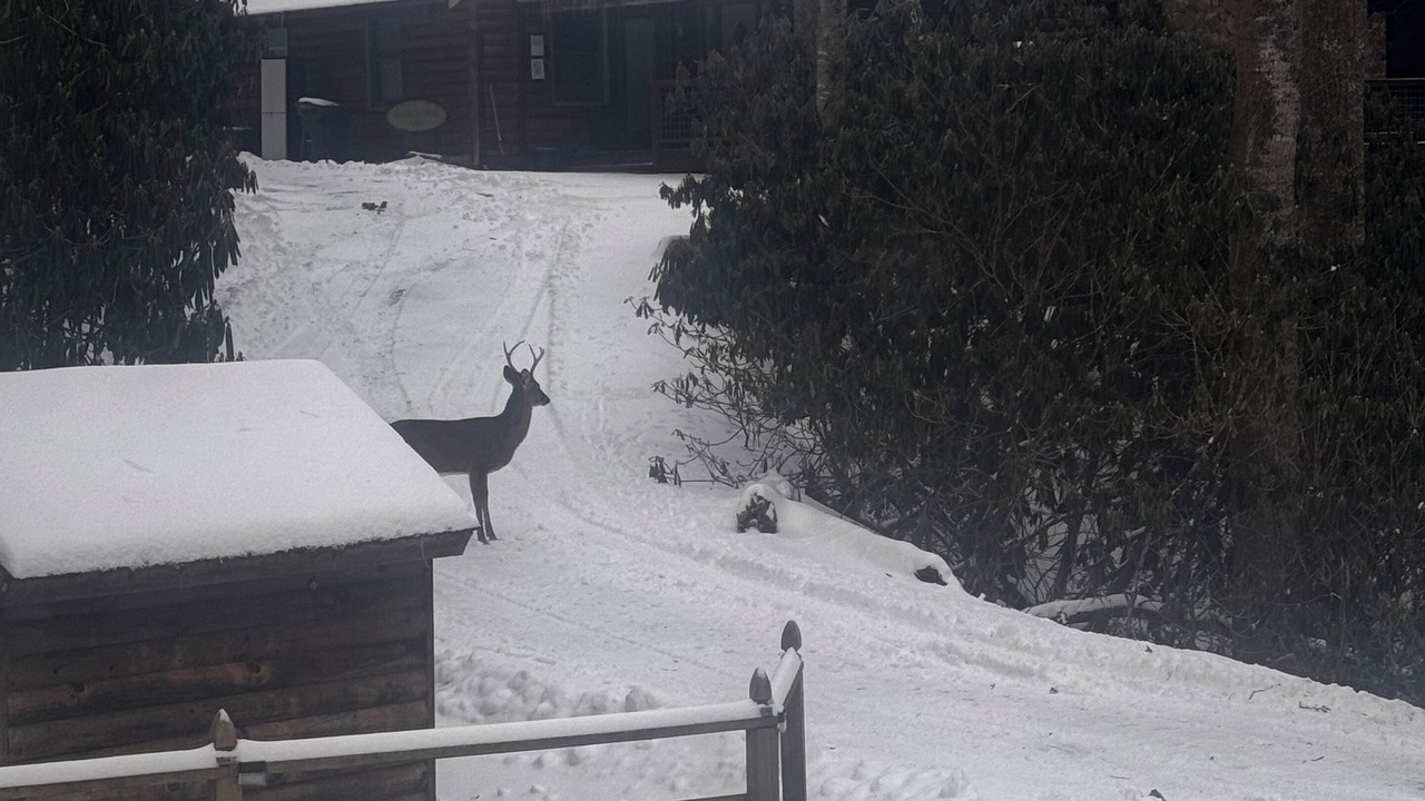 Photo of Outdoor in Boone