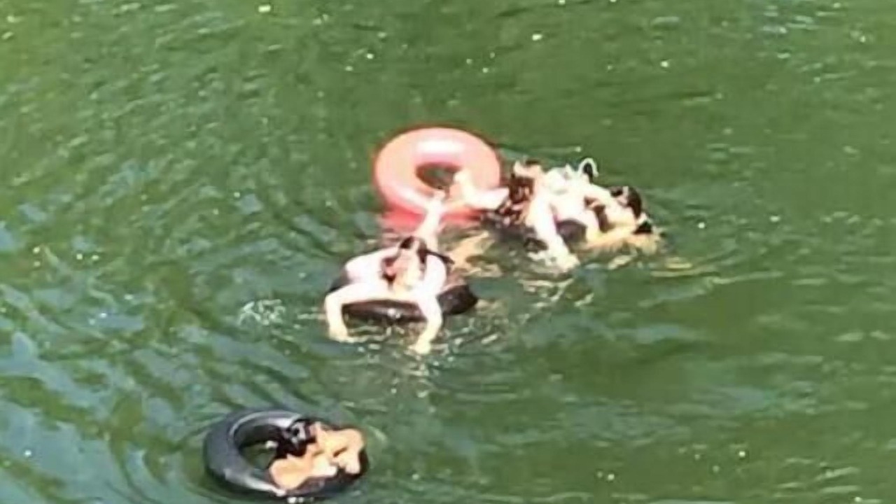 Photo of Others in Berkeley Springs