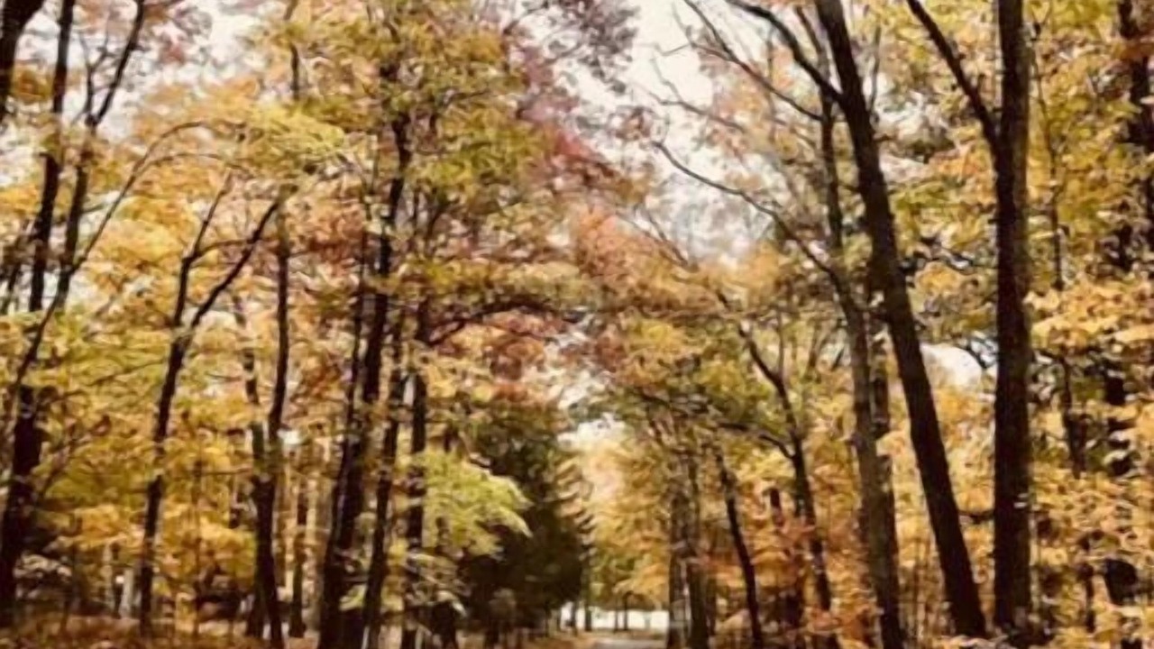 Photo of Outdoor in Berkeley Springs