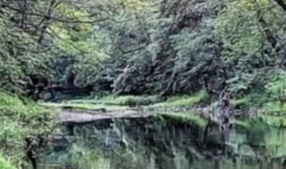 Photo of Others in Berkeley Springs