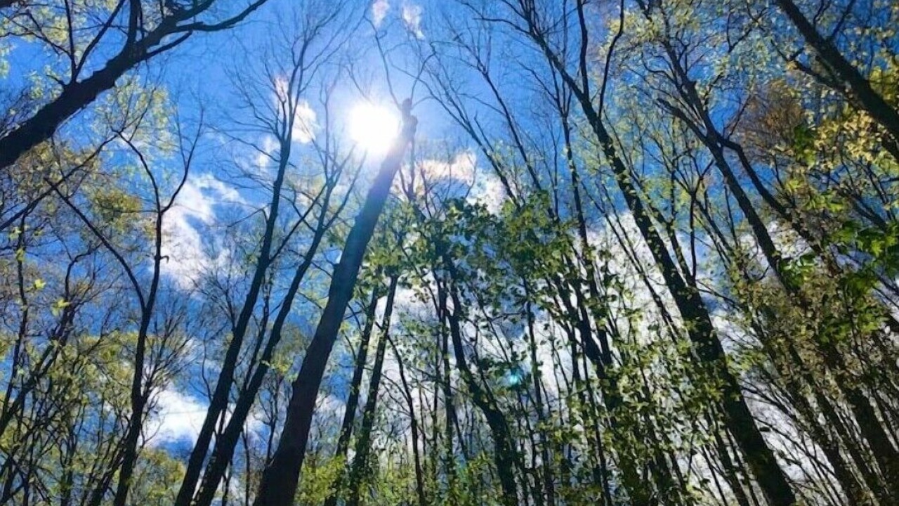 Photo of Others in Green Mountain