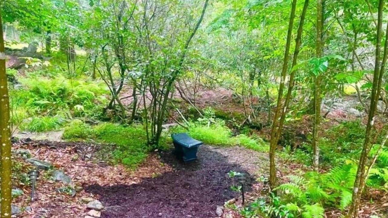 Photo of Outdoor in Green Mountain