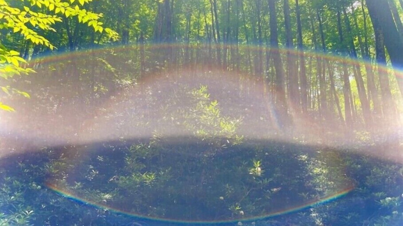 Photo of Others in Green Mountain