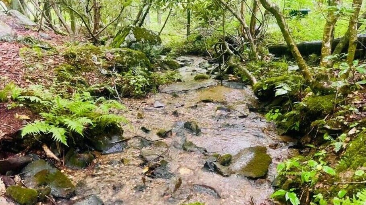 Photo of Outdoor in Green Mountain