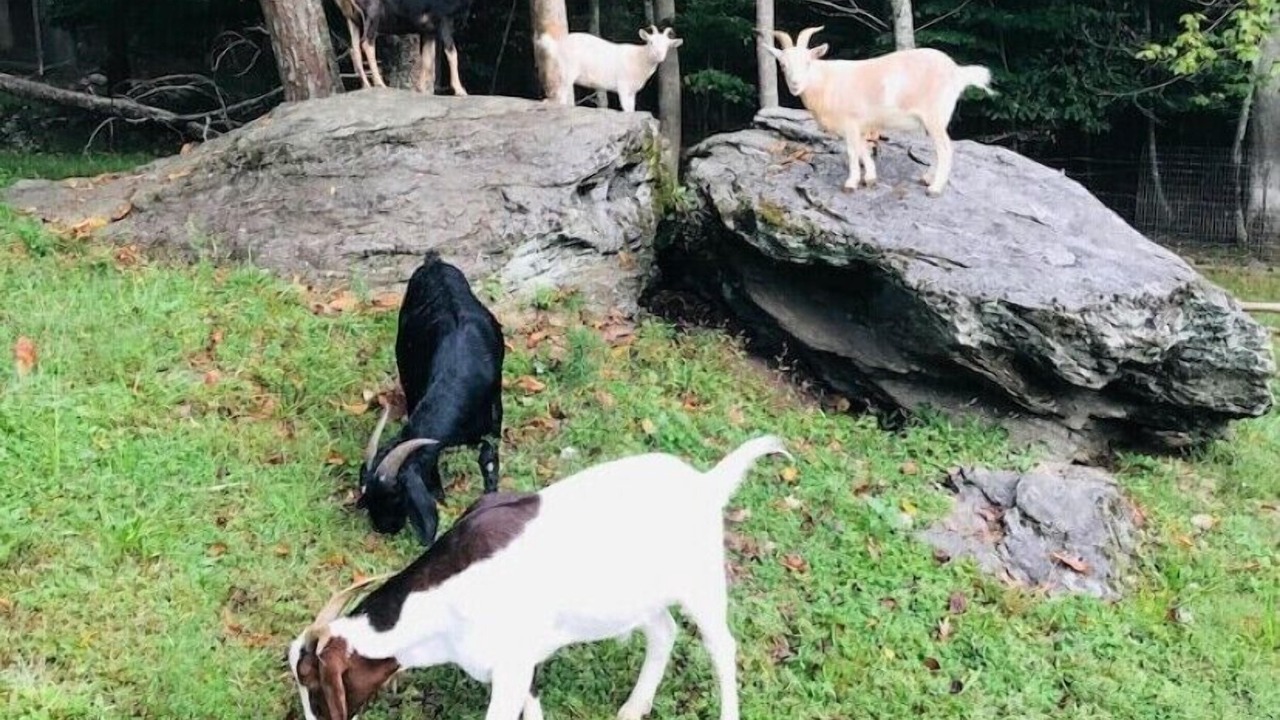 Photo of Outdoor in Green Mountain