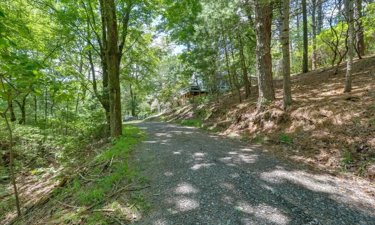 Photo of Others in Millers Creek