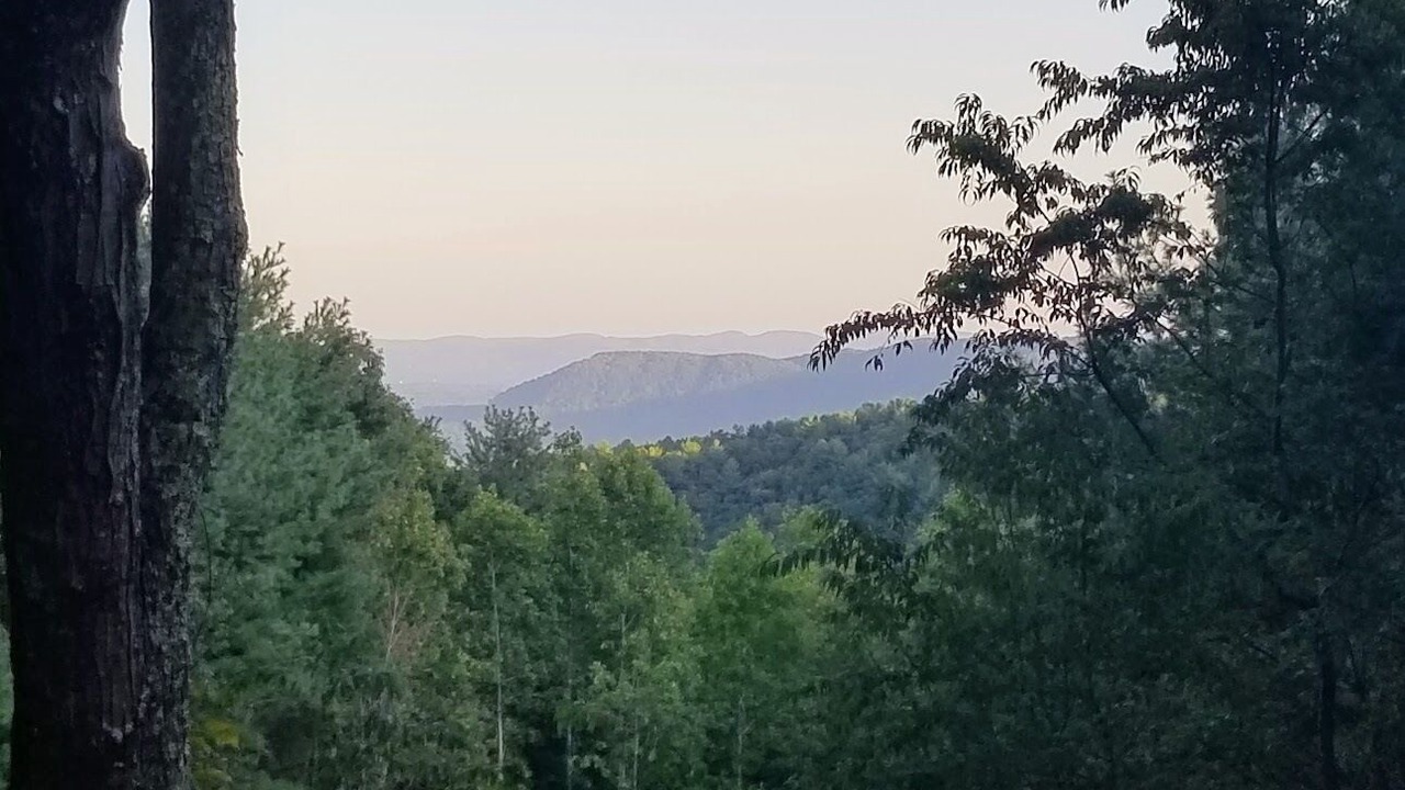 Photo of Others in Millers Creek