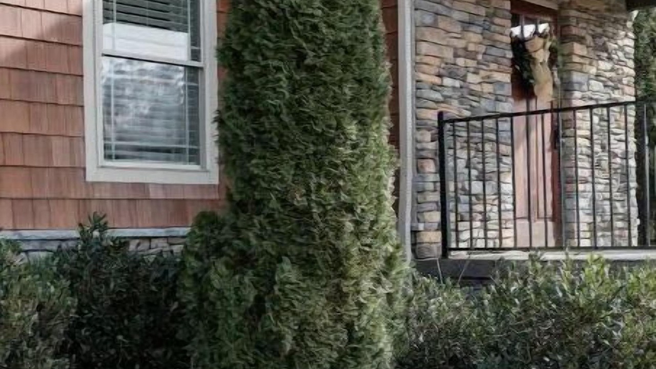 Photo of Outdoor in Rutherfordton