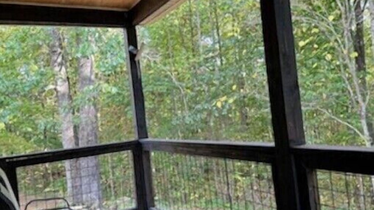 Photo of Patio Balcony in Means