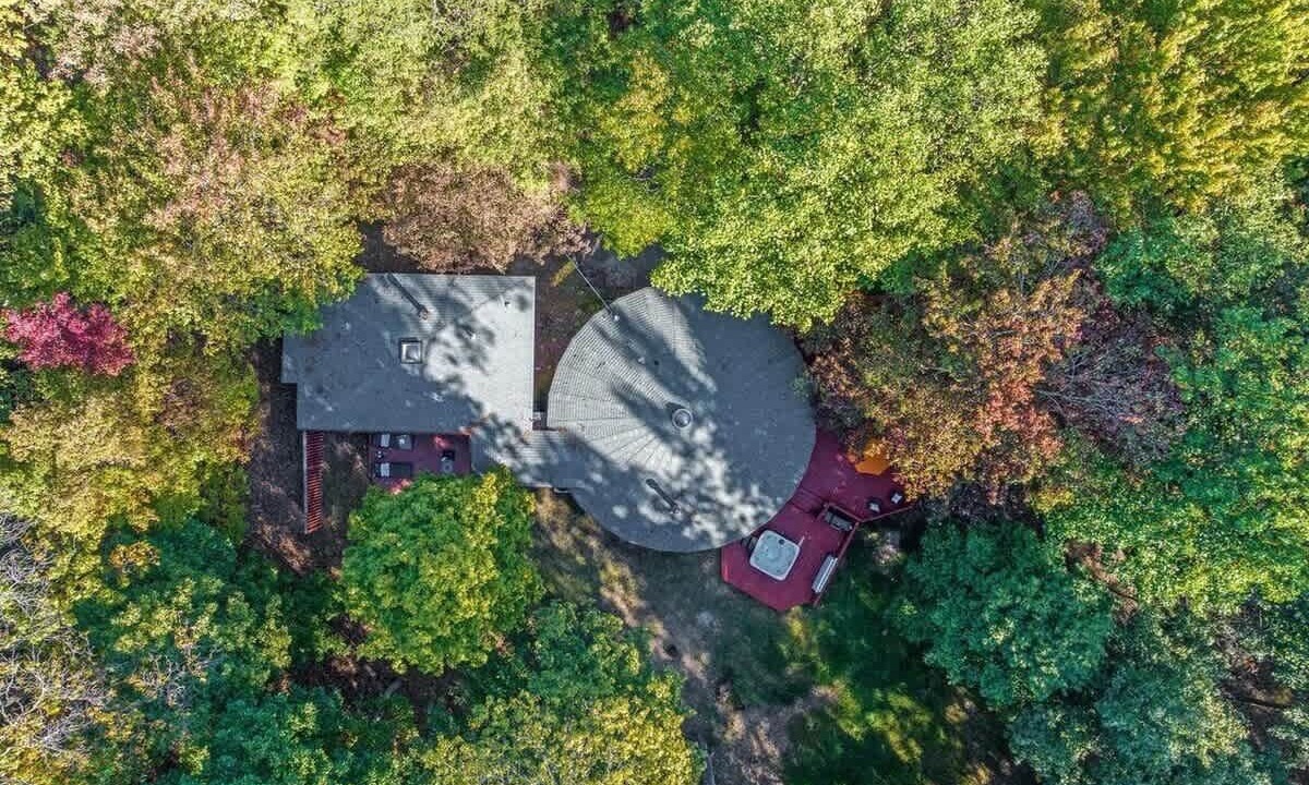 Photo of Outdoor in The Woods