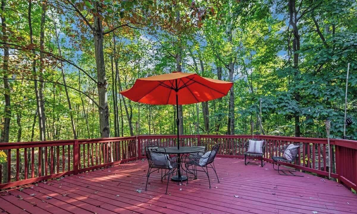 Photo of Outdoor in The Woods