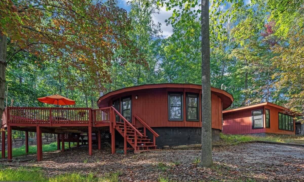 Photo of Outdoor in The Woods