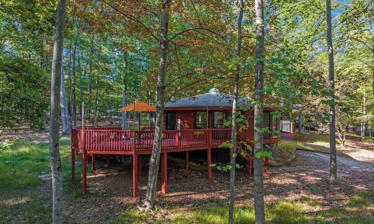 Photo of Outdoor in The Woods