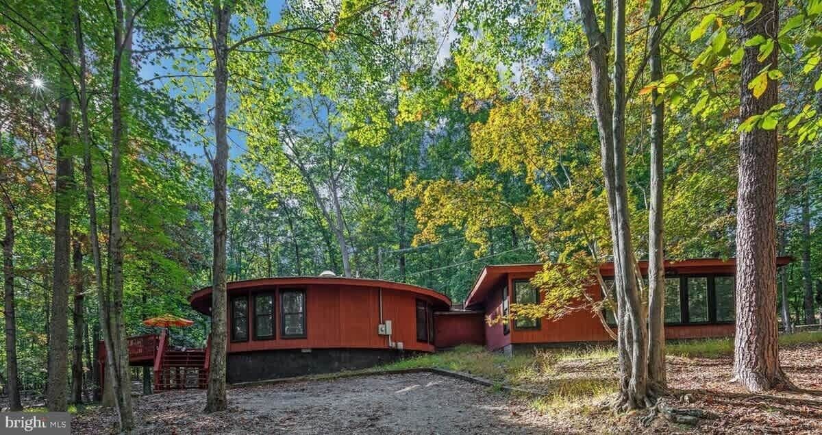 Photo of Outdoor in The Woods