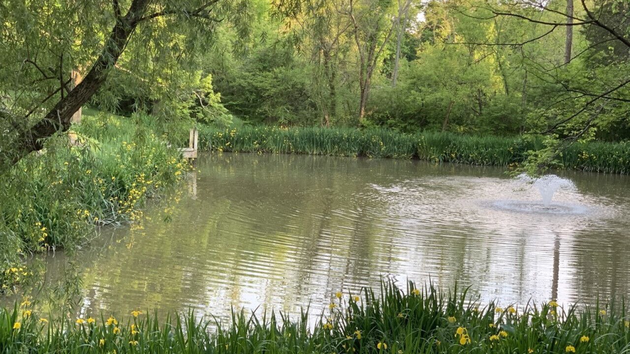 Photo of Outdoor in Anderson Township