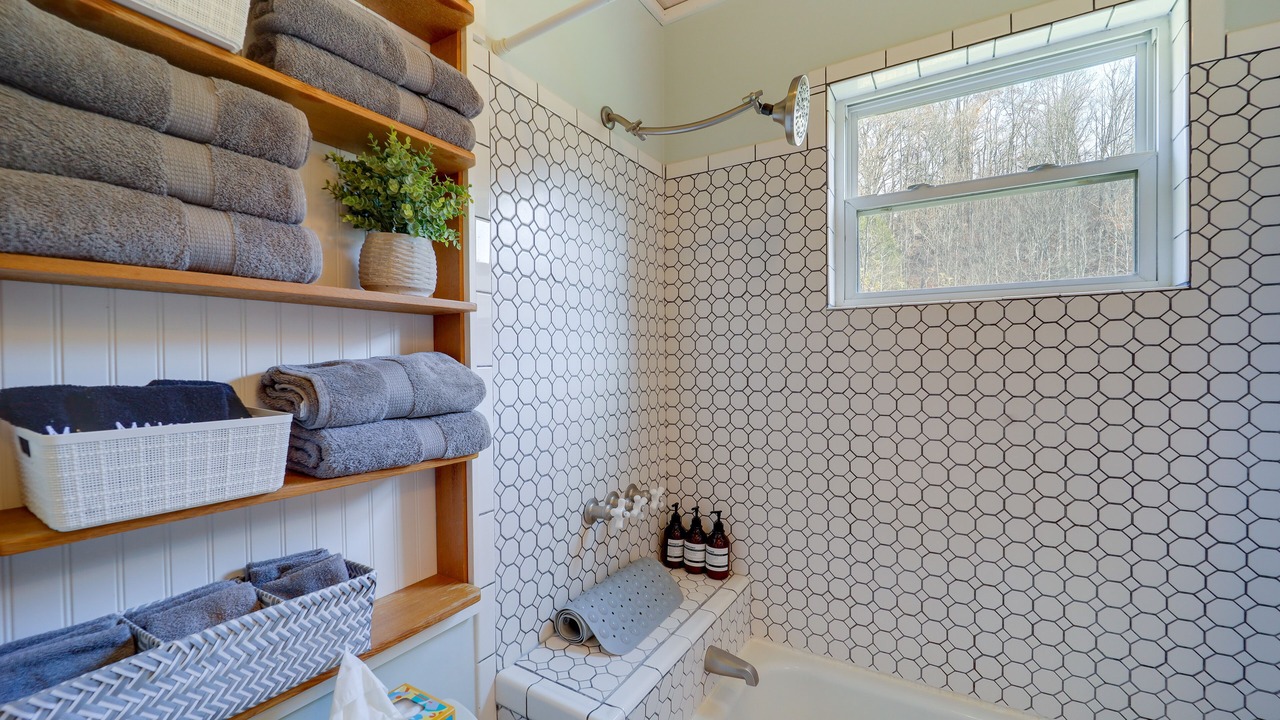 Photo of Bathroom in Roan Mountain