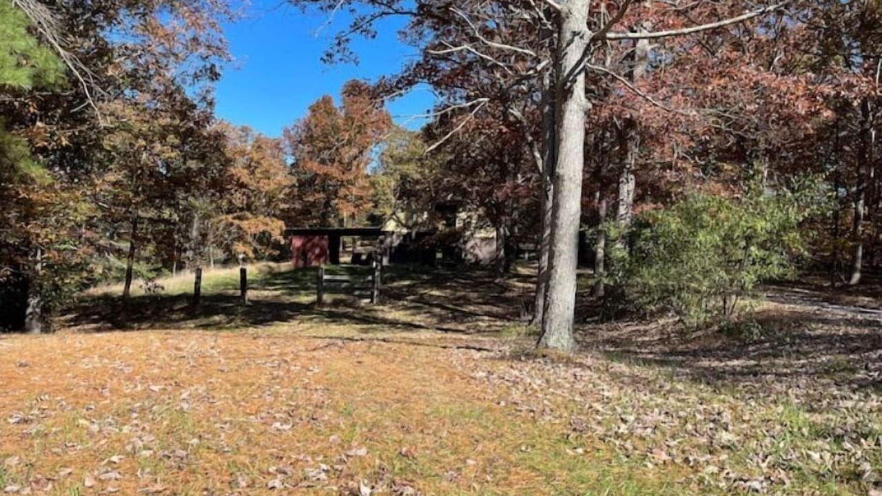 Photo of Outdoor in Green Spring