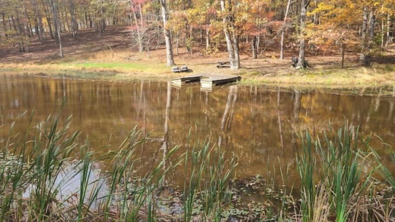 Photo of Others in Green Spring