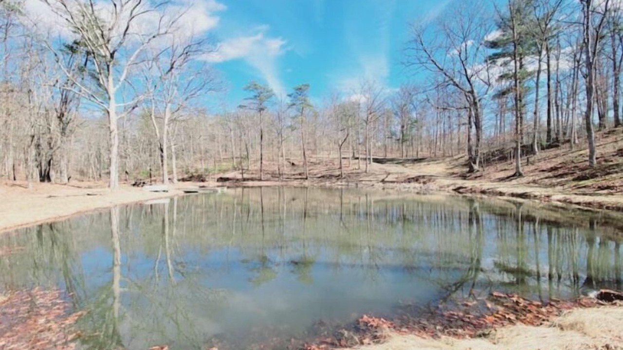 Photo of Outdoor in Green Spring