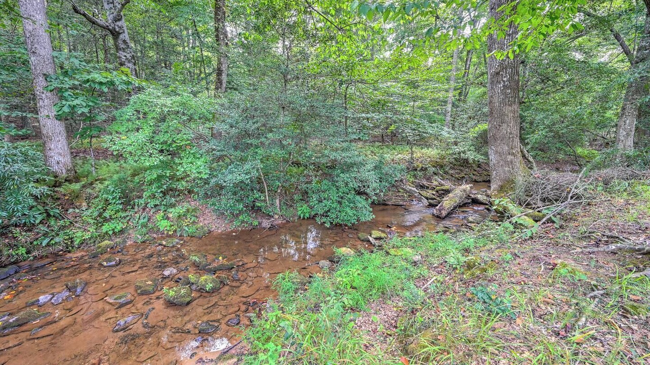 Photo of Others in Tryon