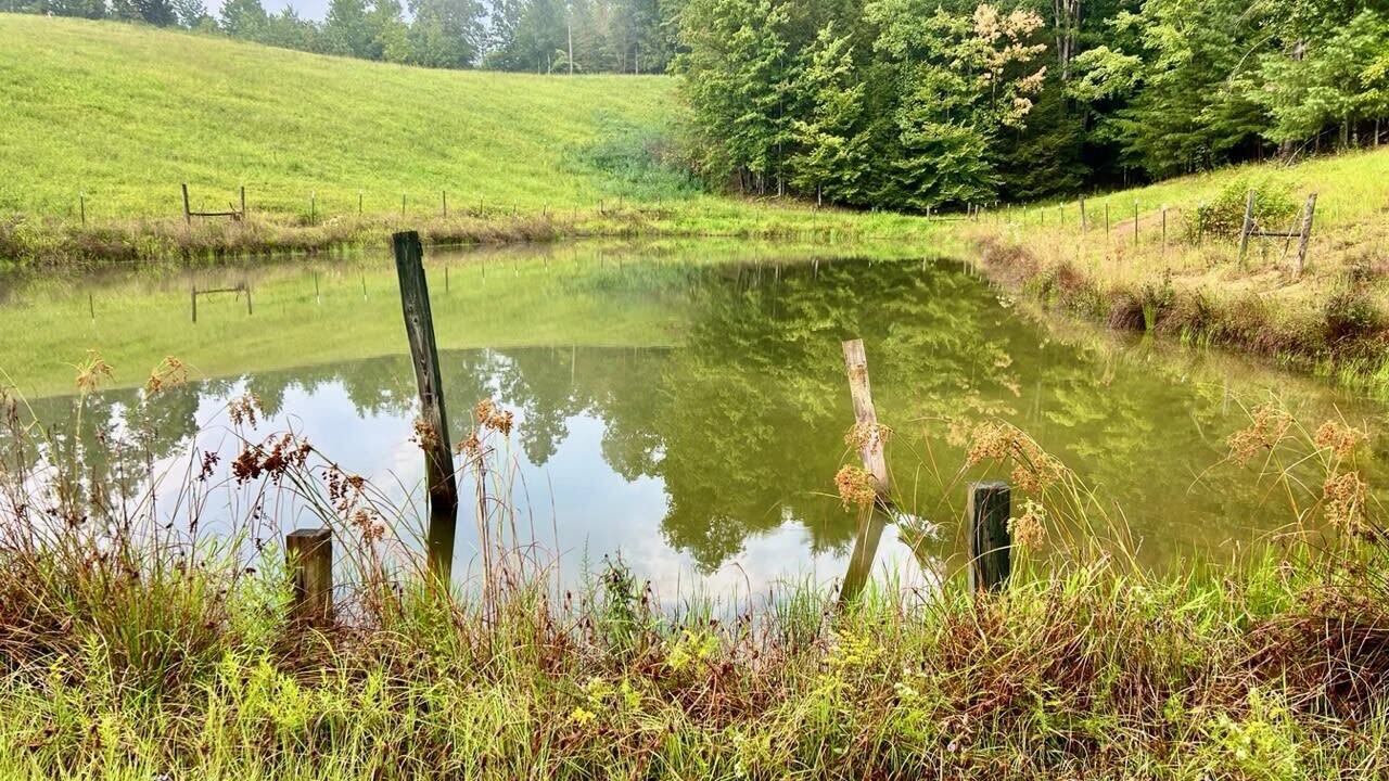 Photo of Others in Campton