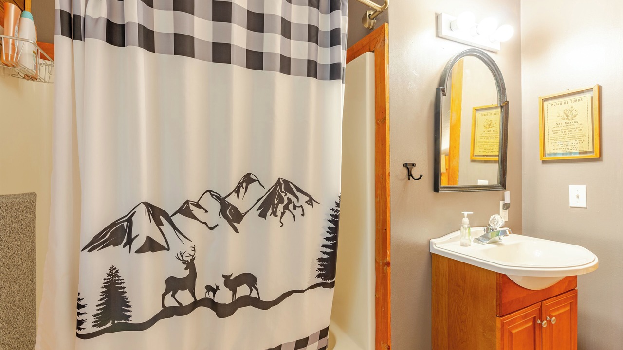 Photo of Bathroom in Asheville
