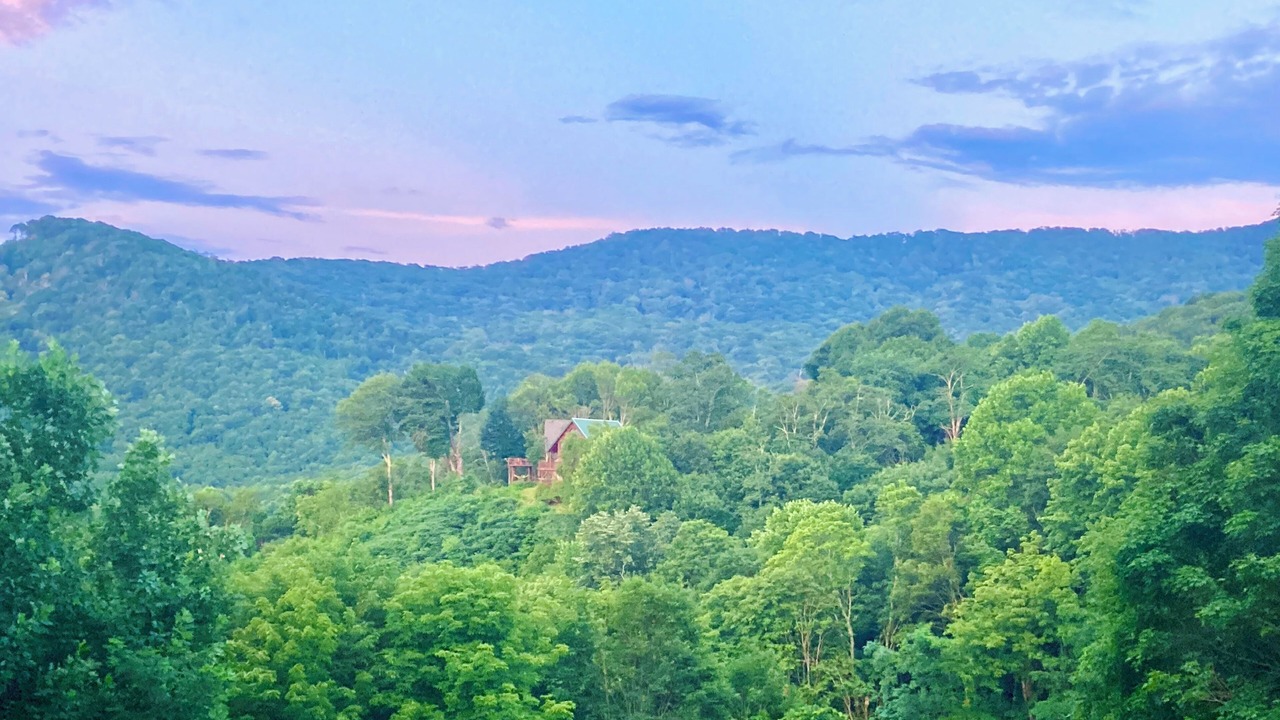 Photo of Outdoor in Roan Mountain