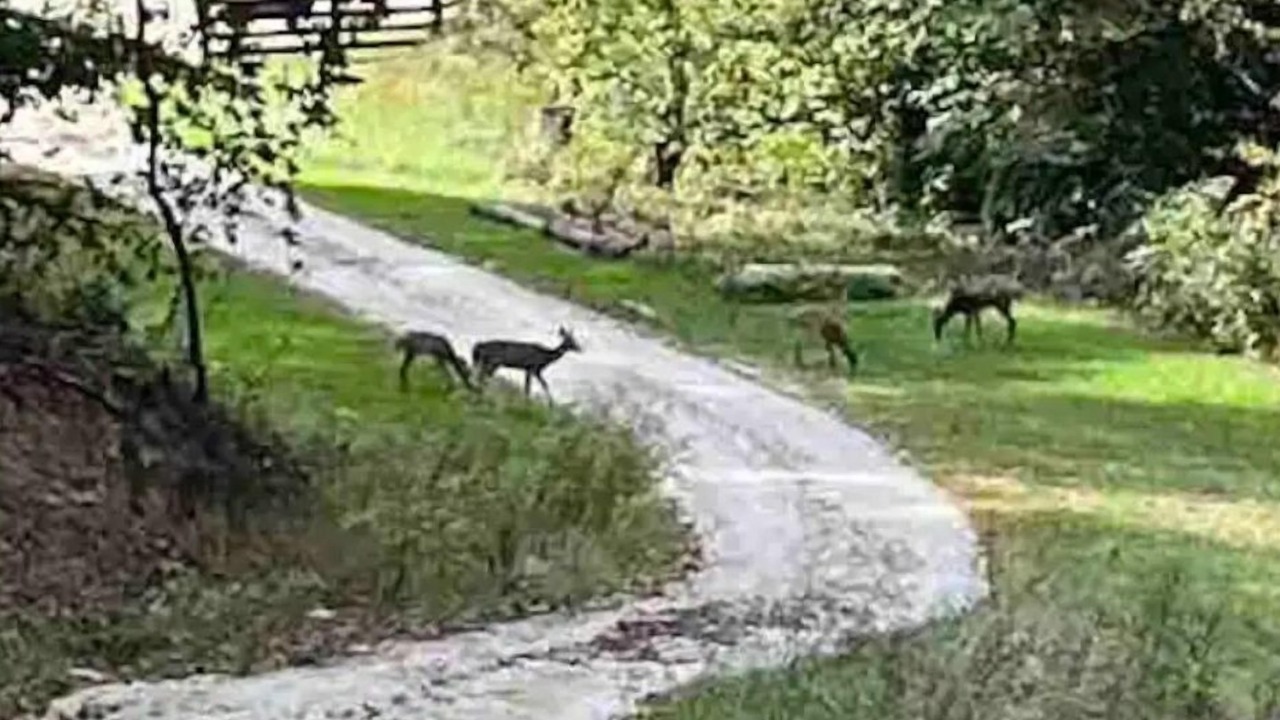 Photo of Others in Campton