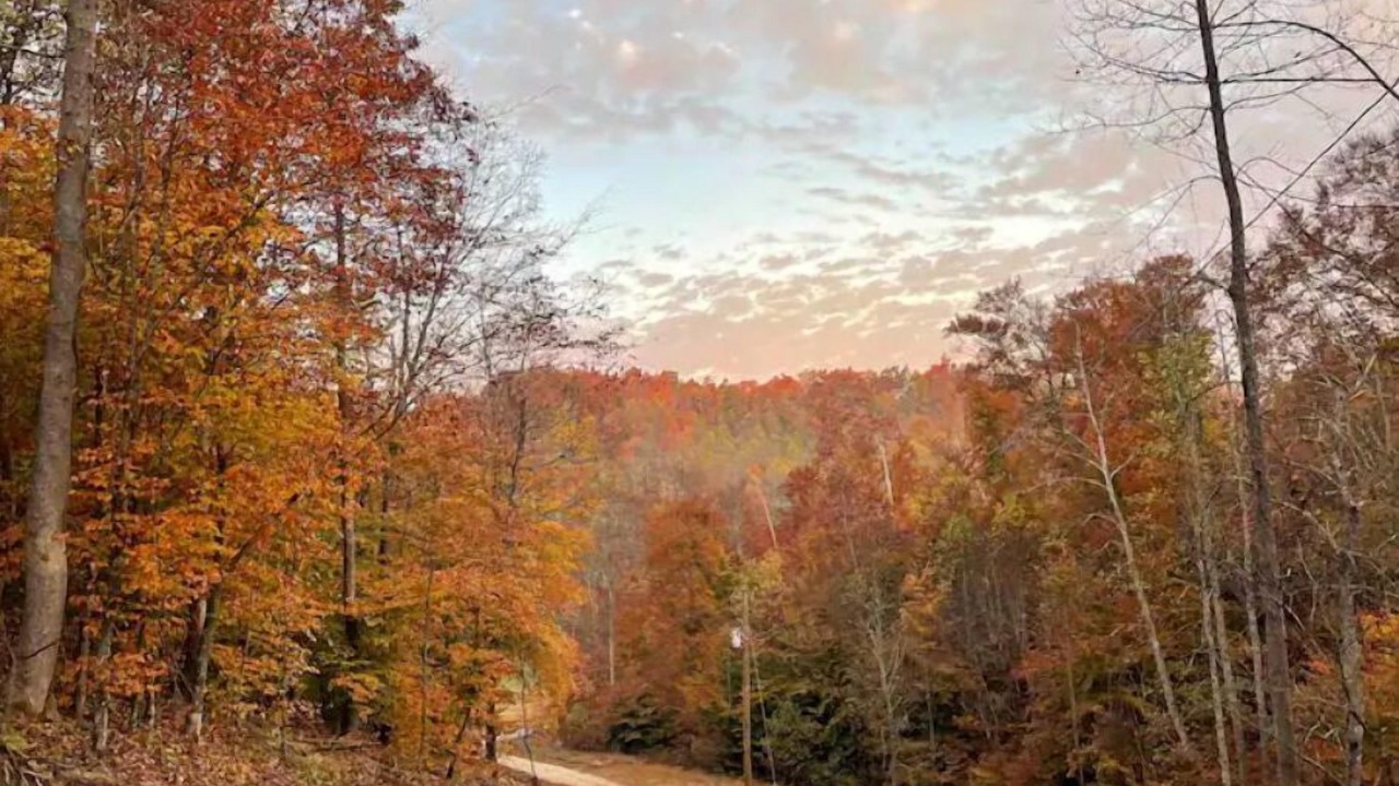 Photo of Outdoor in Campton