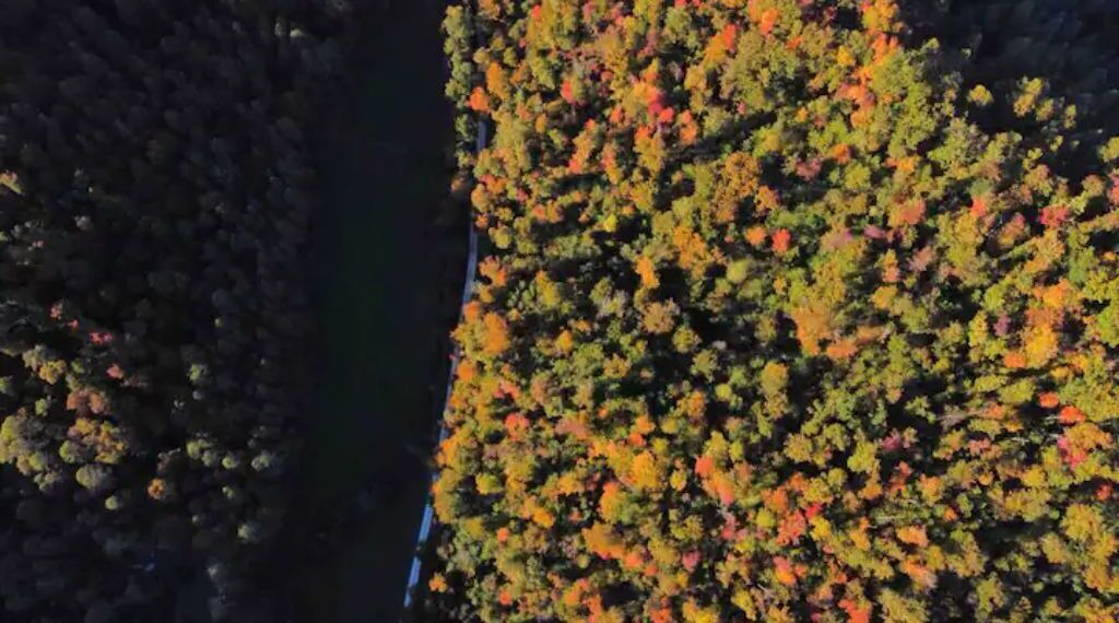 Photo of Outdoor in Campton