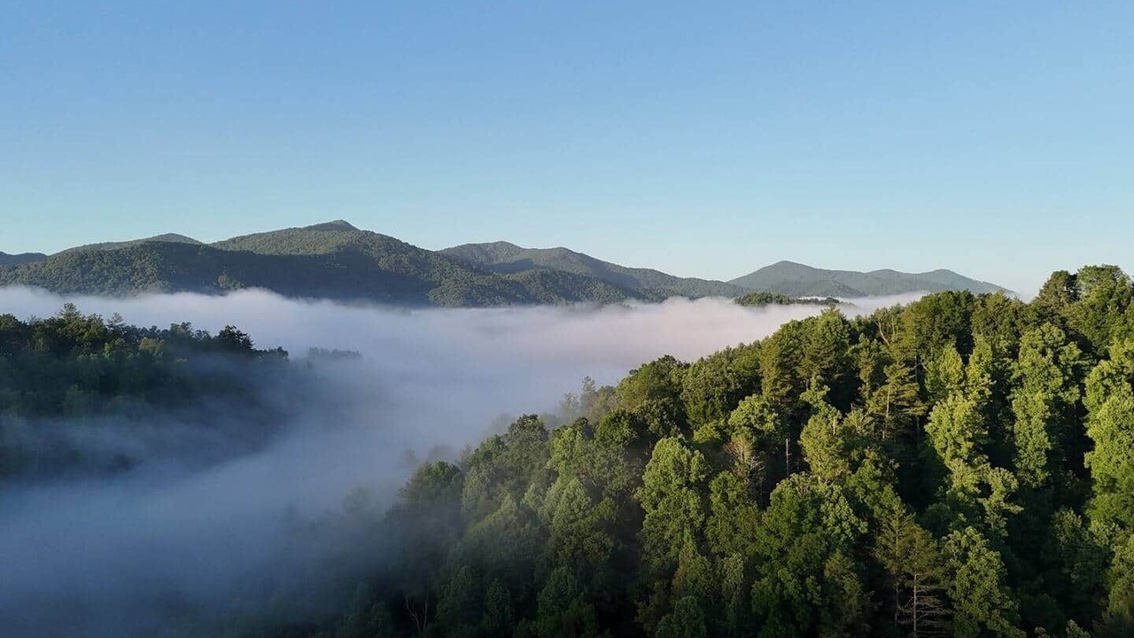 Photo of Others in Bakersville