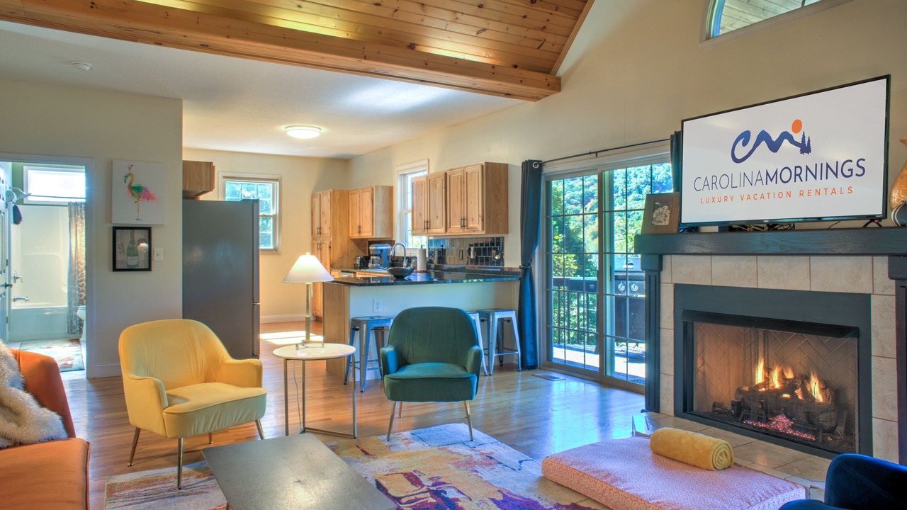 Photo of Livingroom in Asheville