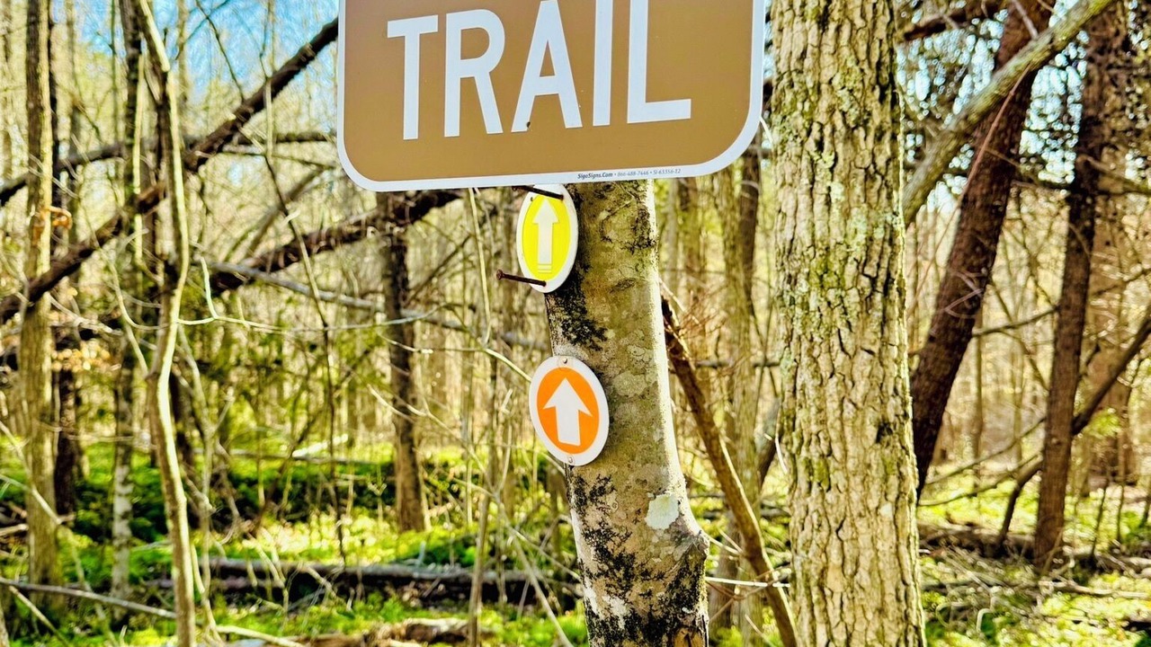 Photo of Outdoor in Rutherfordton