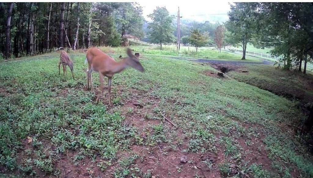 Photo of Outdoor in Bakersville