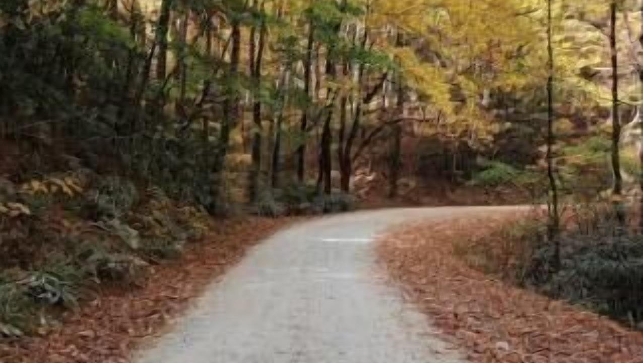Photo of Outdoor in Bakersville