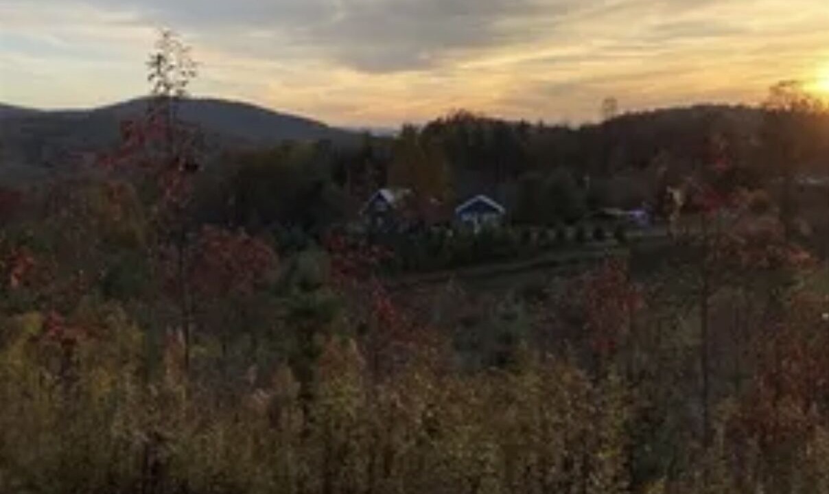 Photo of Others in Newland