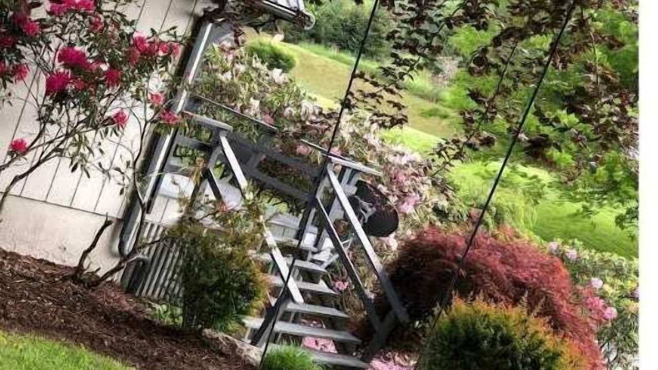 Photo of Outdoor in Altamont