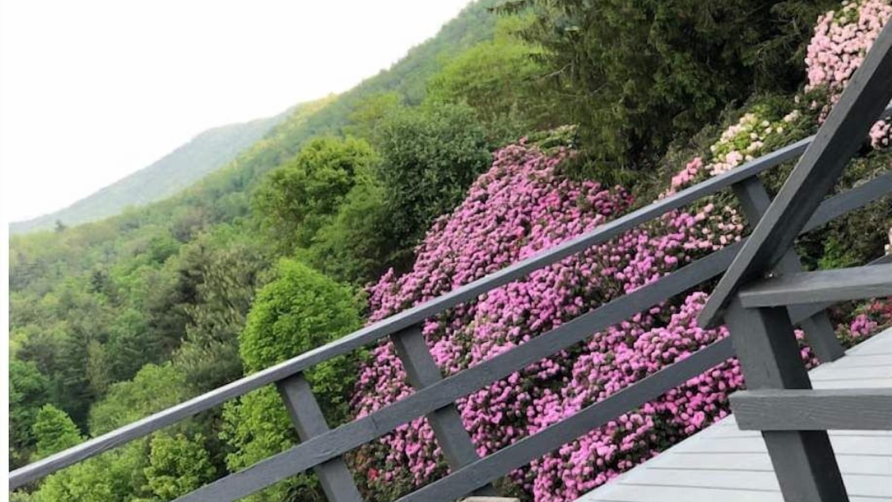 Photo of Outdoor in Altamont