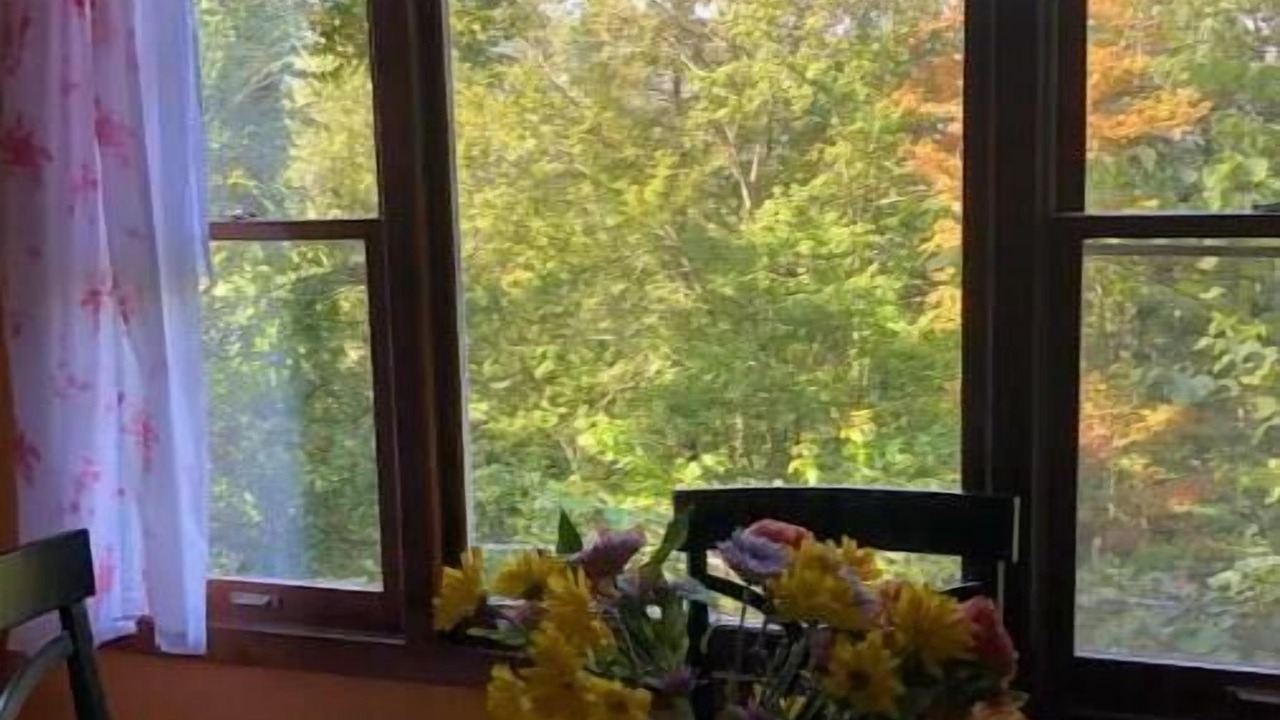 Photo of Others in Swannanoa