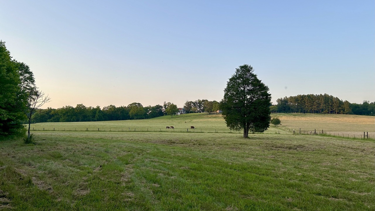Photo of Others in Berkeley Springs