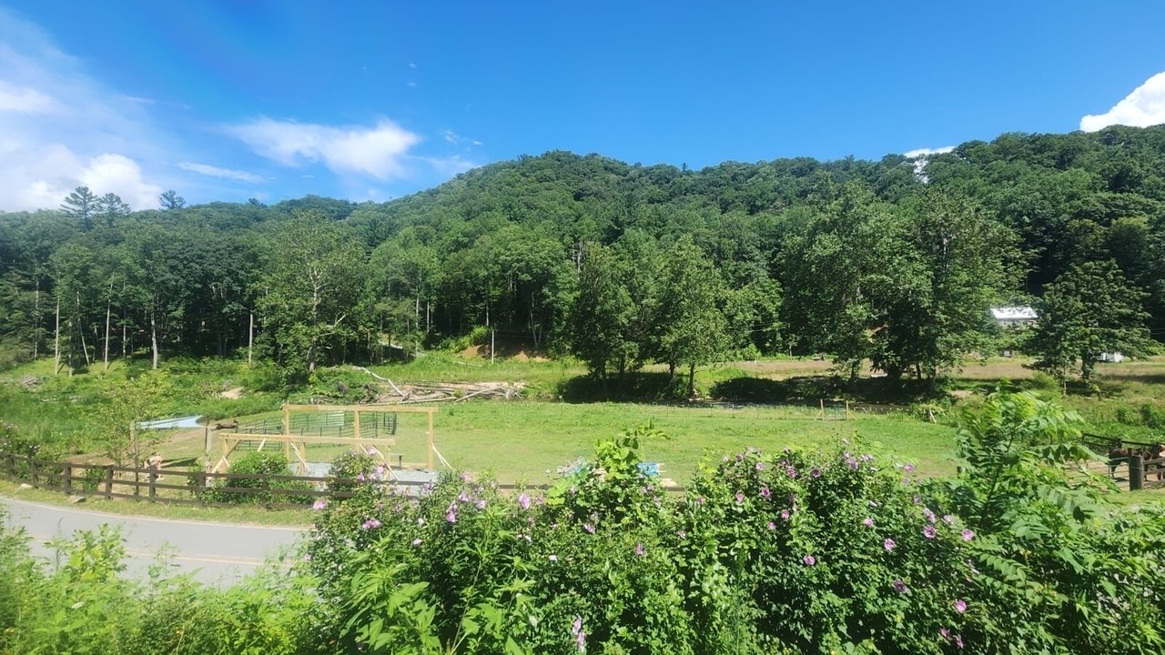 Photo of Others in Elk Park