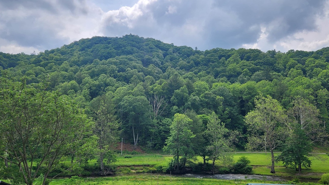 Photo of Others in Elk Park